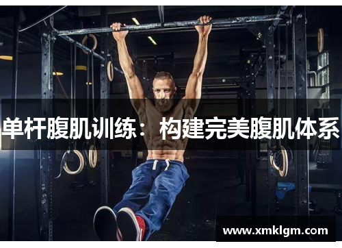 单杆腹肌训练：构建完美腹肌体系