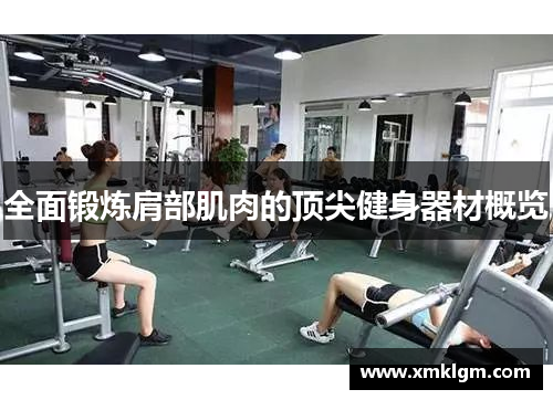 全面锻炼肩部肌肉的顶尖健身器材概览