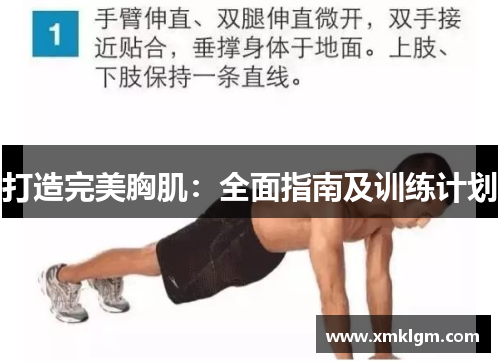 打造完美胸肌：全面指南及训练计划