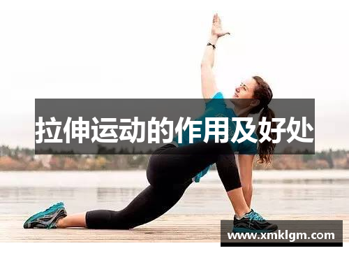 拉伸运动的作用及好处