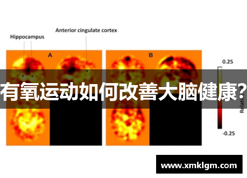 有氧运动如何改善大脑健康？