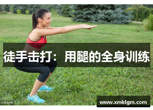 徒手击打：用腿的全身训练