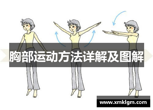 胸部运动方法详解及图解