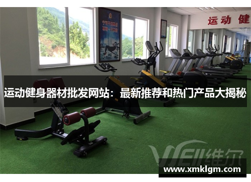 运动健身器材批发网站：最新推荐和热门产品大揭秘