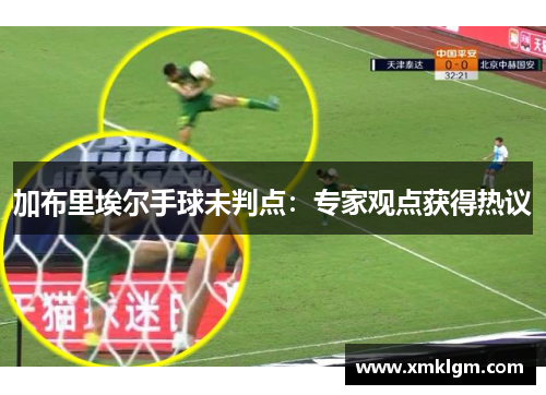 加布里埃尔手球未判点：专家观点获得热议